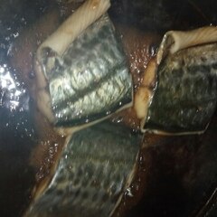 さごしの煮魚 レシピ 作り方 By カゲジジ 楽天レシピ